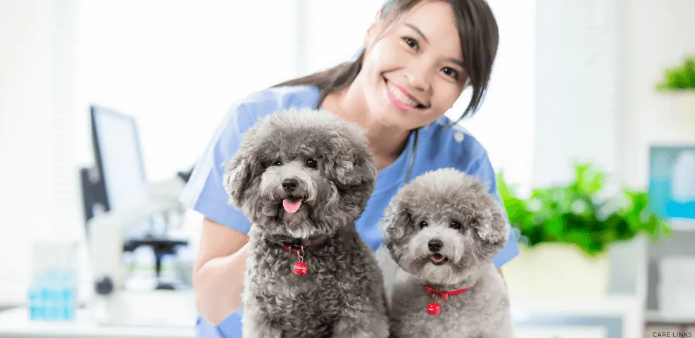 Veterinary Deals